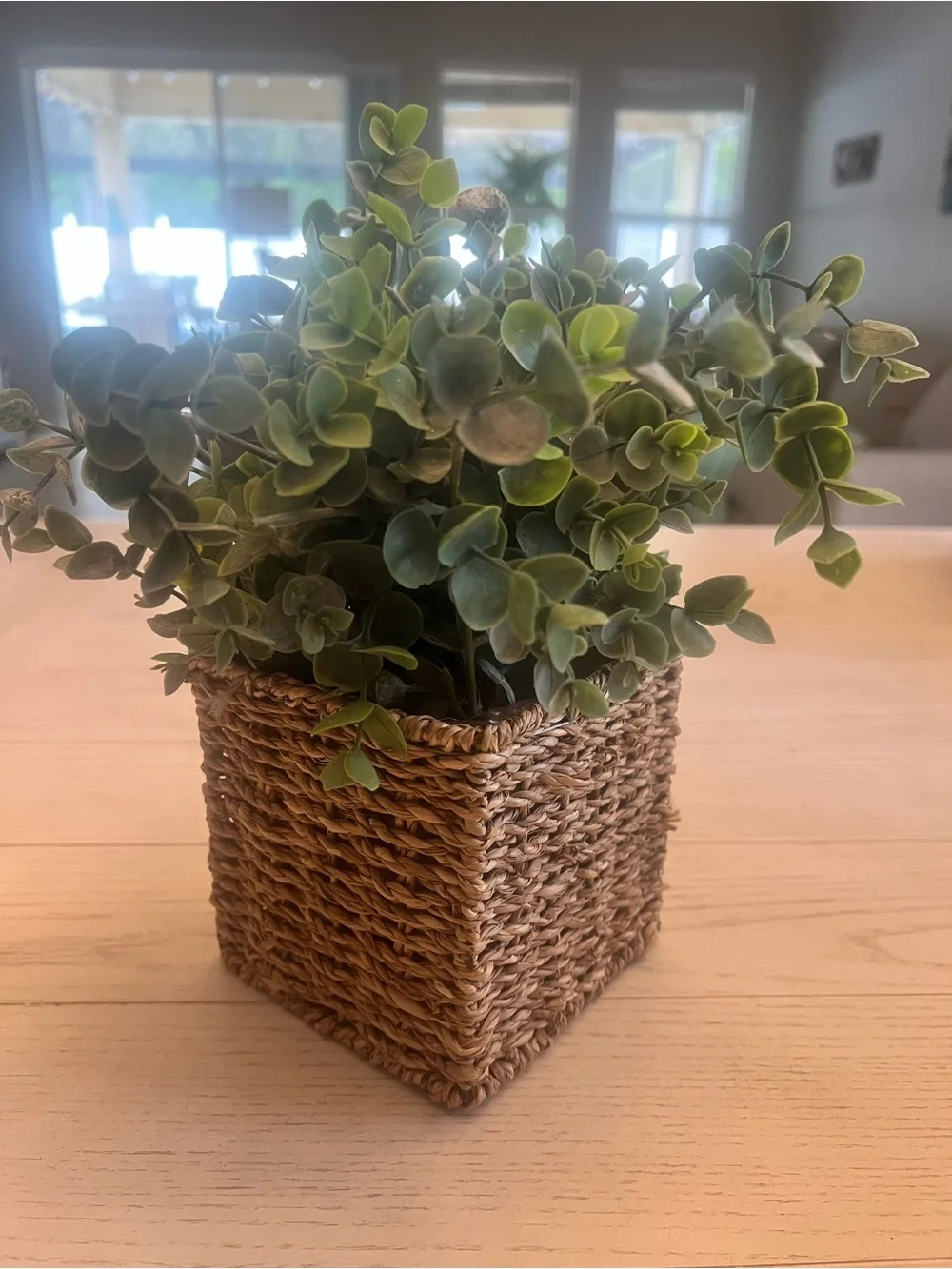 Faux Eucalyptus Plant in Woven Square Planter